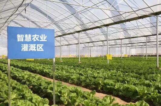 中聯農業智能灌溉系統，農業節水技術